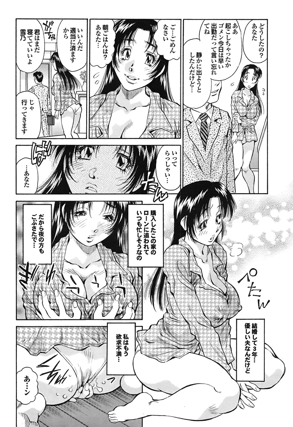 COMIC プルメロ 2009年03月号 vol.27