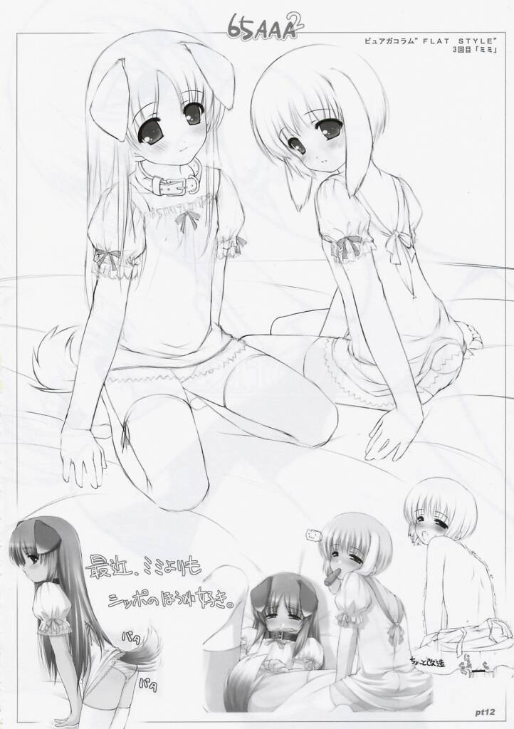 (C67) [noantica (おーじ)] flat chest - ぺた(65AAA)本2 O-ji's rough illustrations