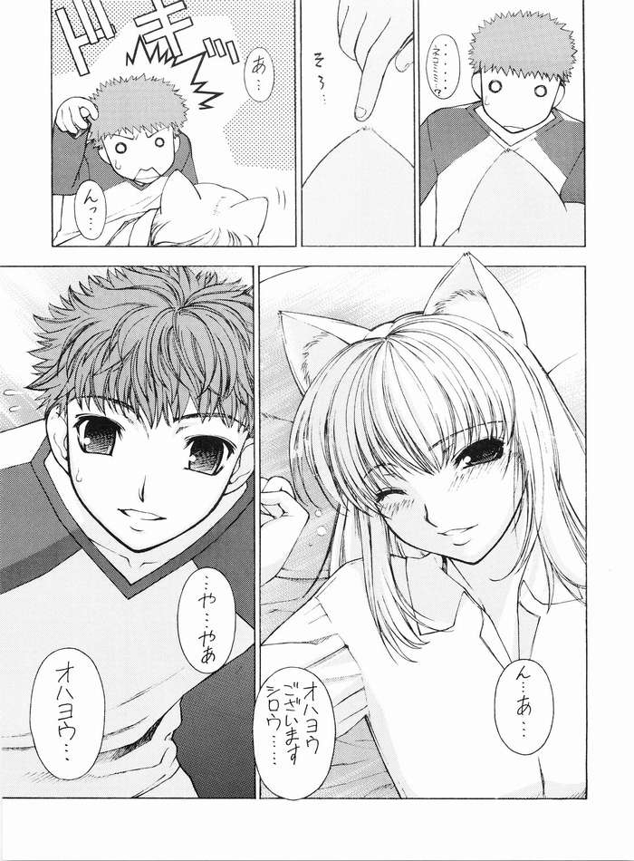 (C67) [さなづら同人誌発行所 (さなづらひろゆき)] ねこみみFate (Fate/stay night)