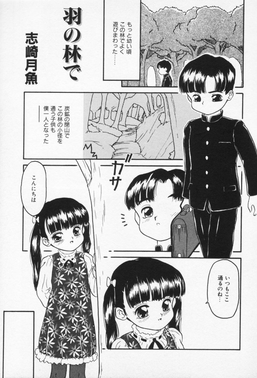 【早崎月尾】インラン双子島井