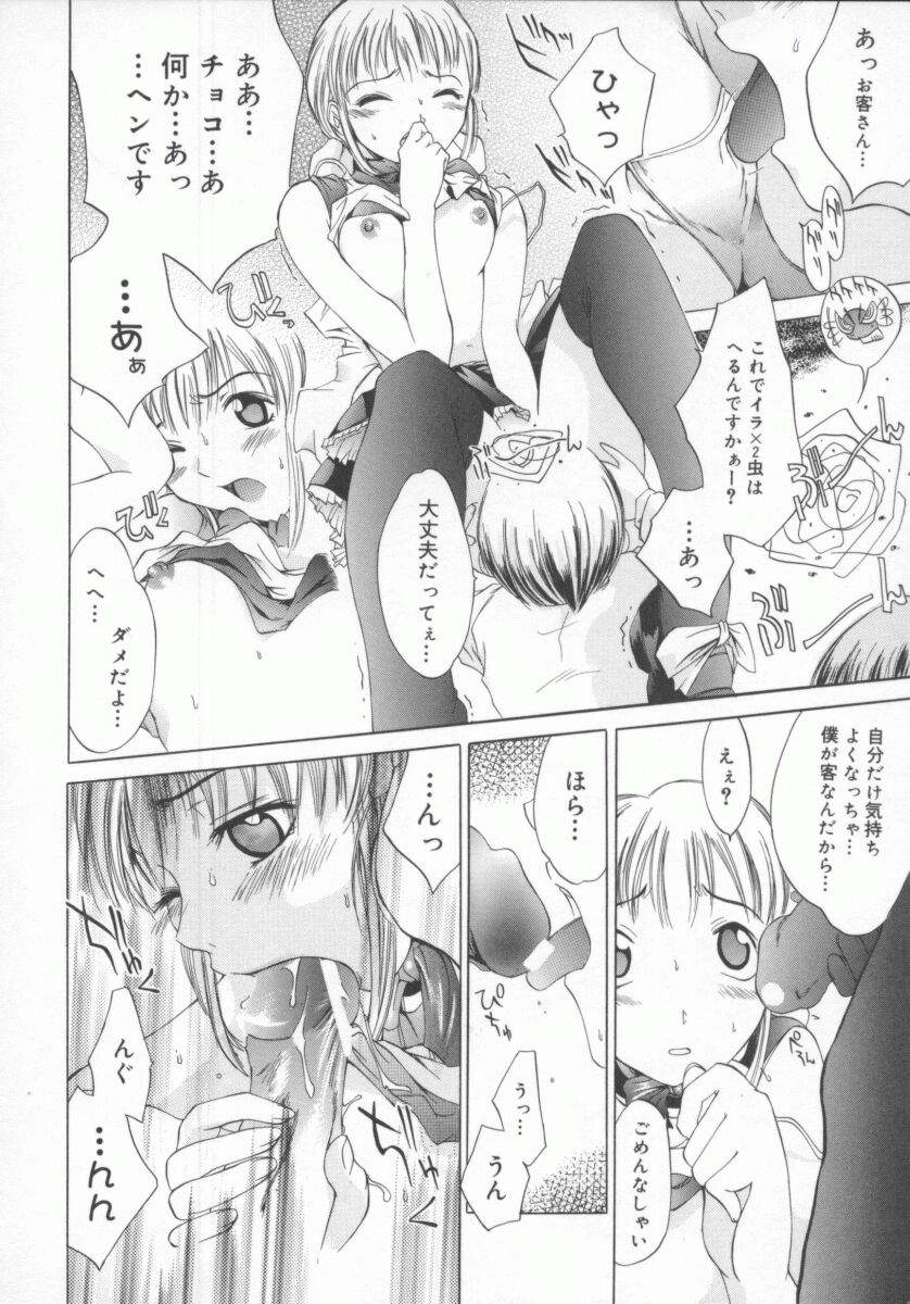 [けんたろう] 蝶美
