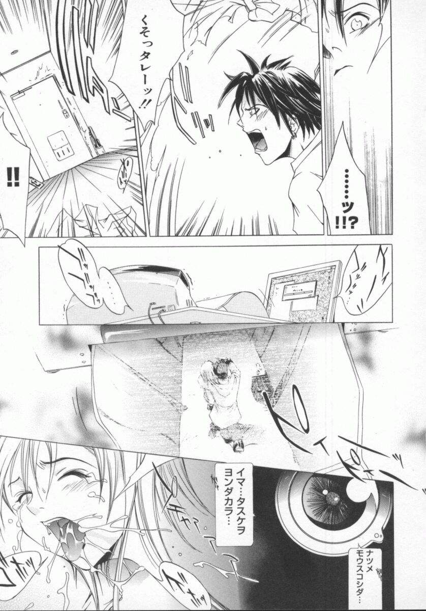 [けんたろう] 蝶美