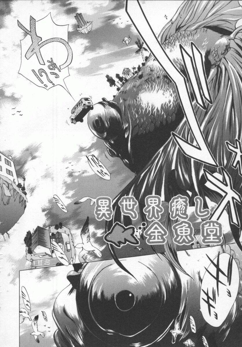 [けんたろう] 蝶美