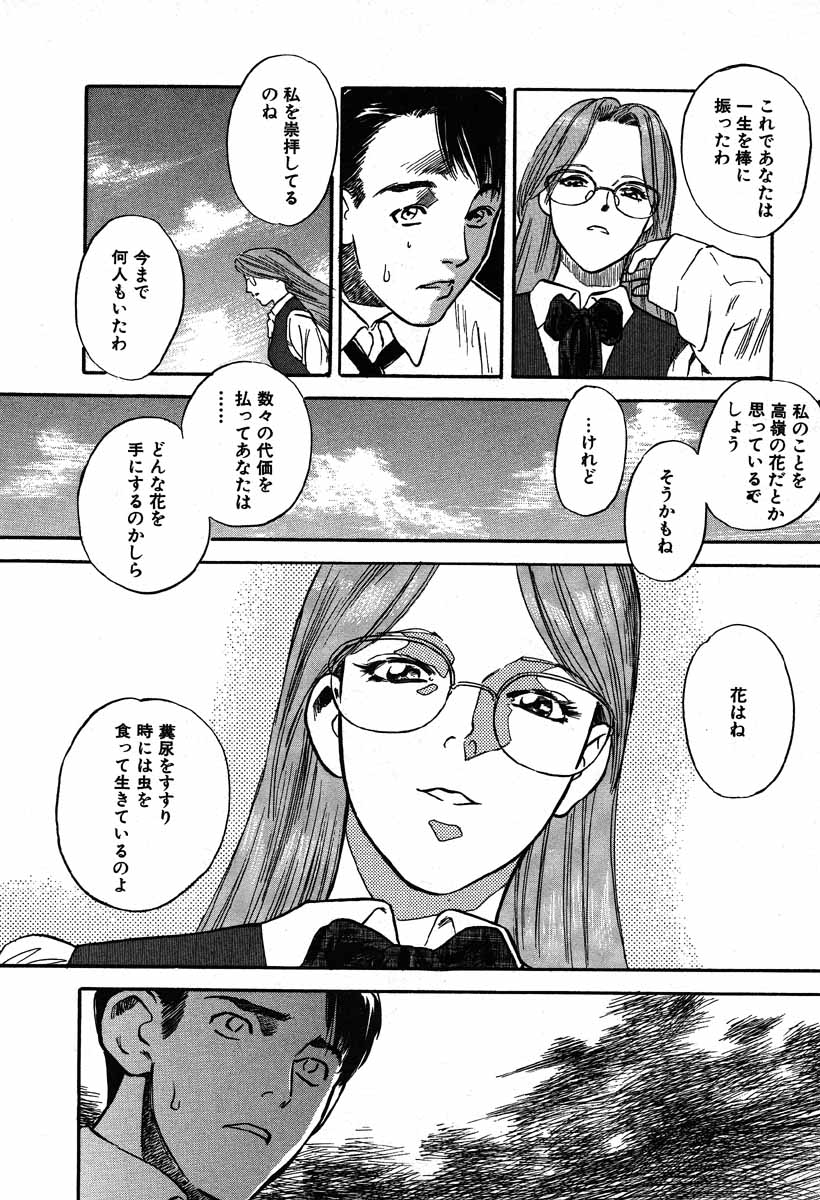 [天竺浪人] ワイルドフラワー