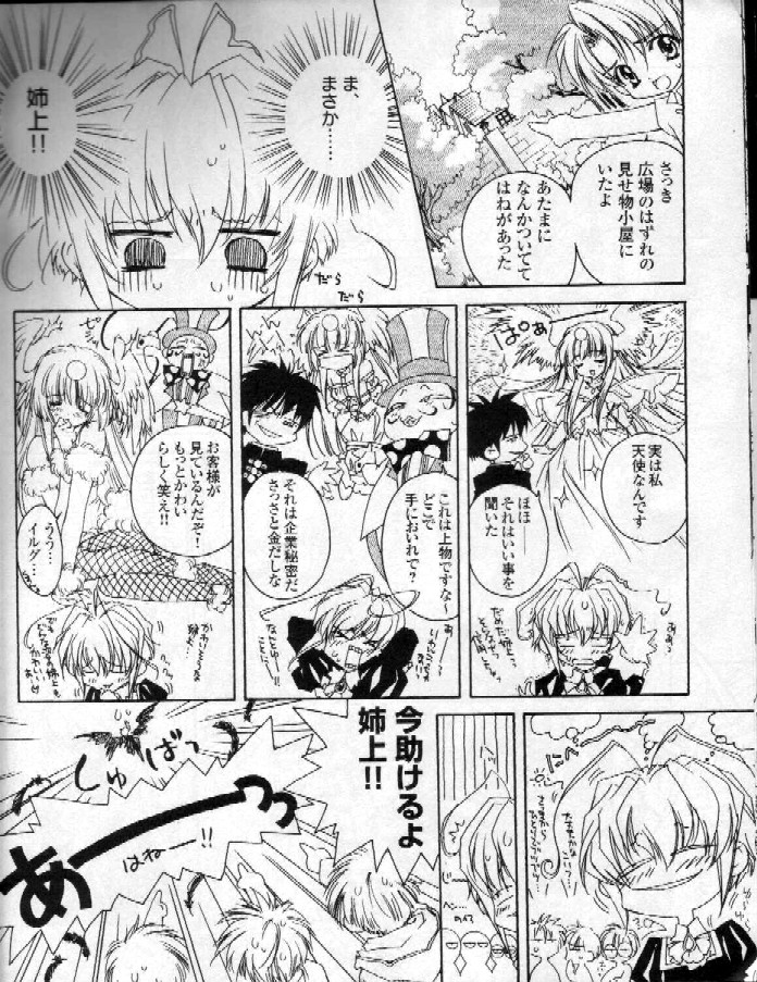 カーネリアン-ReenKadorer 1-3