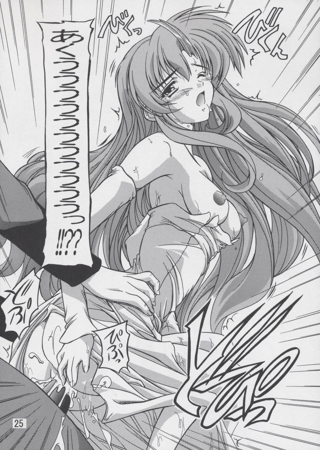(C67) [すたぢおQ (奈塚Q弥)] ラクス総集編ですてに～ (機動戦士ガンダムSEED)