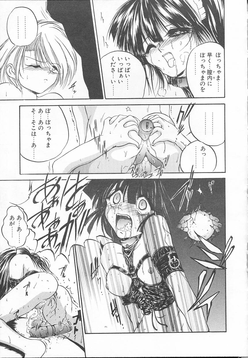 [冴樹高雄] 朝まで個人授業♥