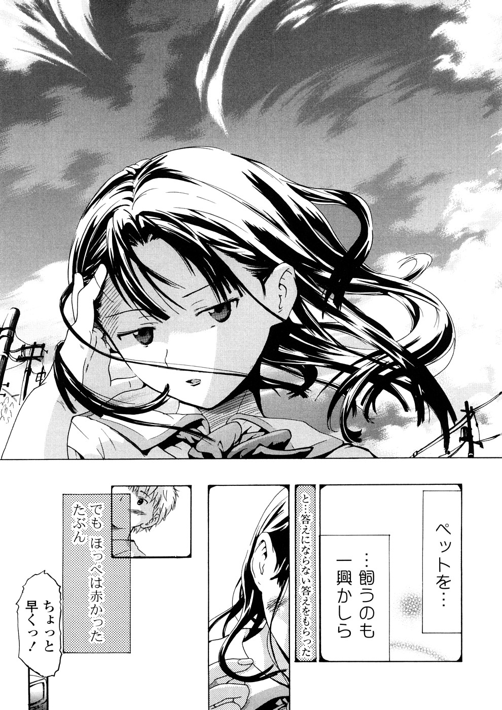 [中年] 年刊中年チャンプ