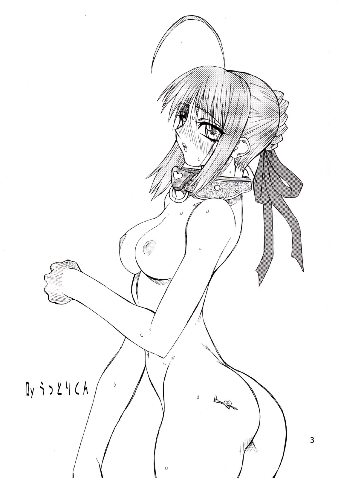 [パワースライド (うっとりくん)] Corn 2 (Fate/stay night)