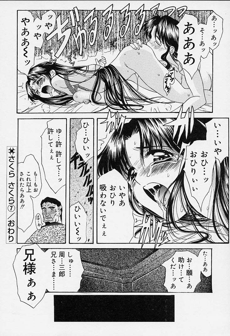 [あまゆみ] さくらさくら
