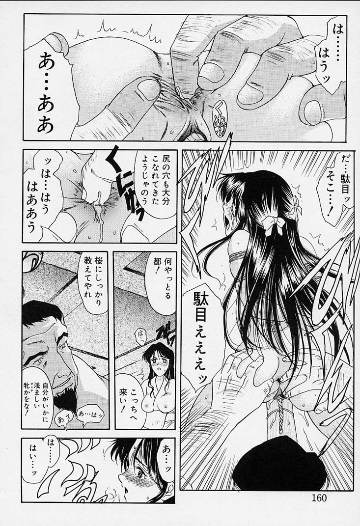 [あまゆみ] さくらさくら