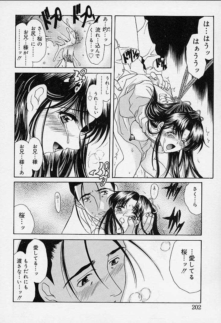 [あまゆみ] さくらさくら