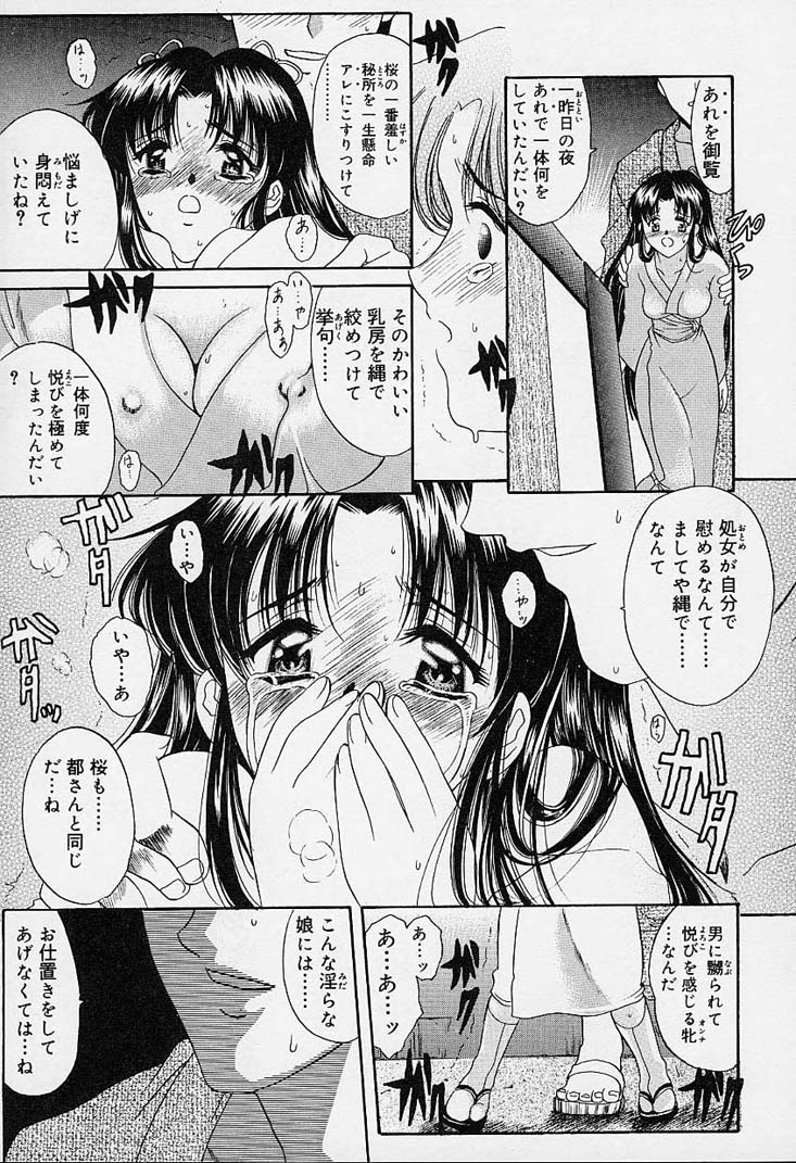 [あまゆみ] さくらさくら