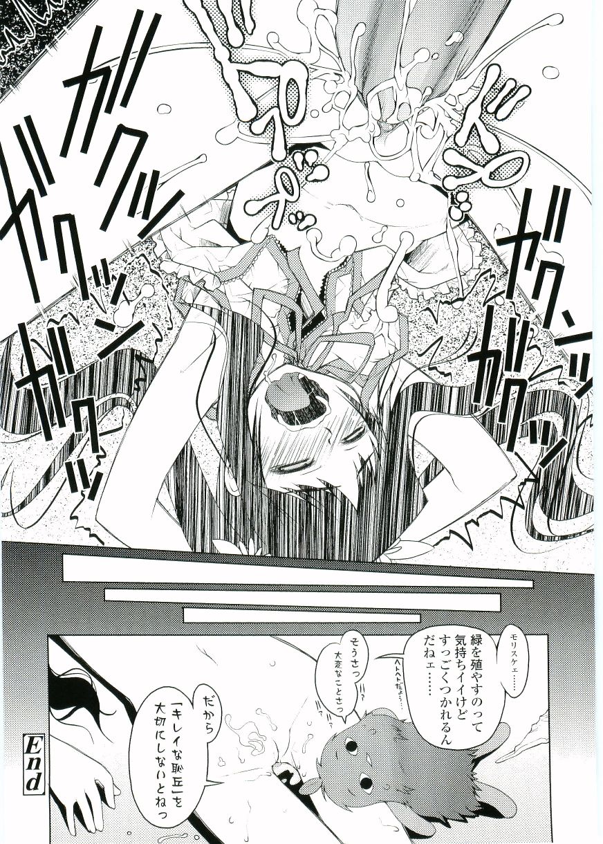 [朝木貴行] ちょいすじ