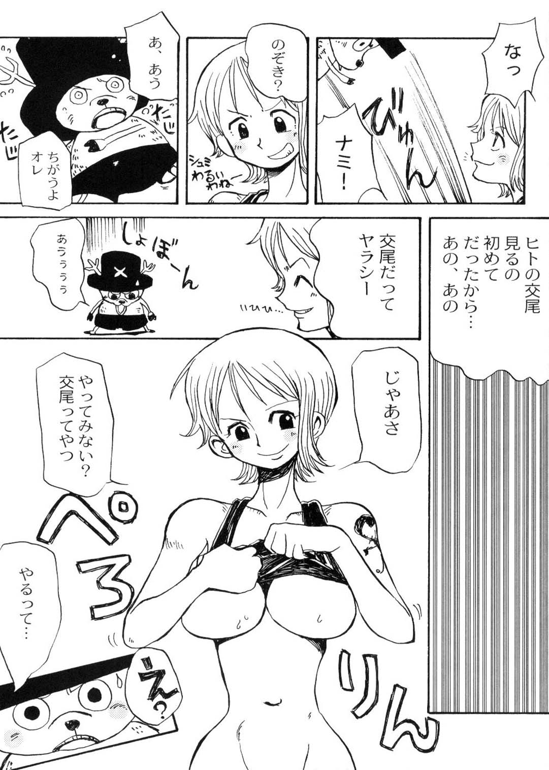 (C65) [ちゃちゃちゃぶらざーず (よこやまちちゃ	)] ニコゾロナミチョ (ワンピース)