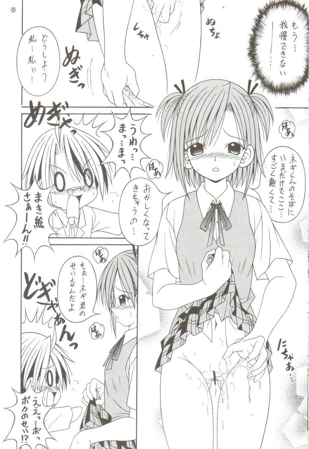 【AIUショーコミュニケーション】ネギマックス！ 3（魔法先生ネギま）