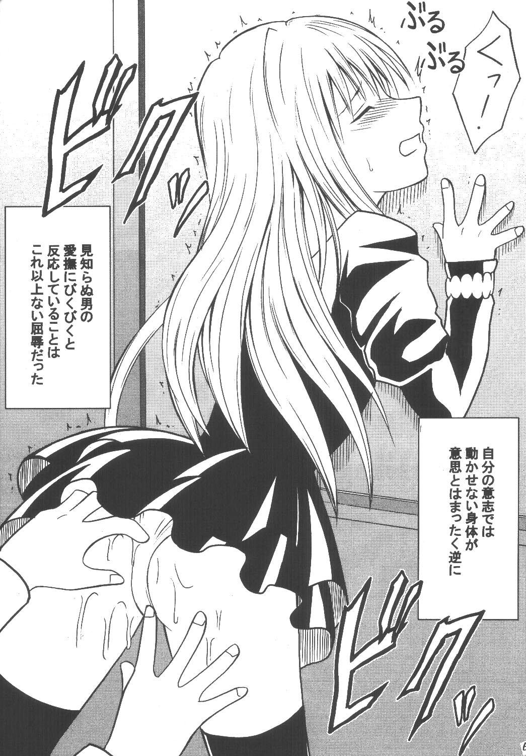 [クリムゾン (カーマイン)] 教育総集編 (ブラックキャット)