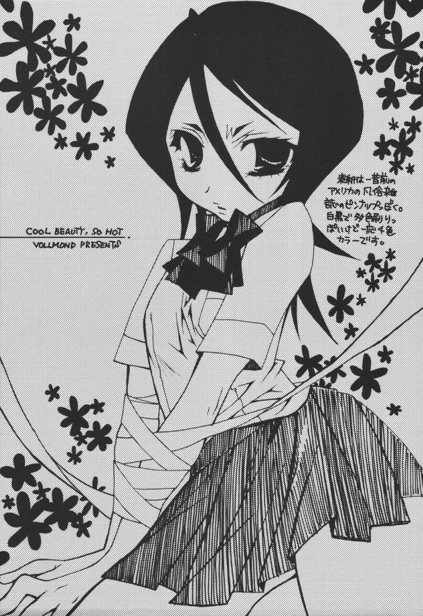 (C68) [VOLLMOND (瑠璃)] COOL BEAUTY,SO HOT (ブリーチ)