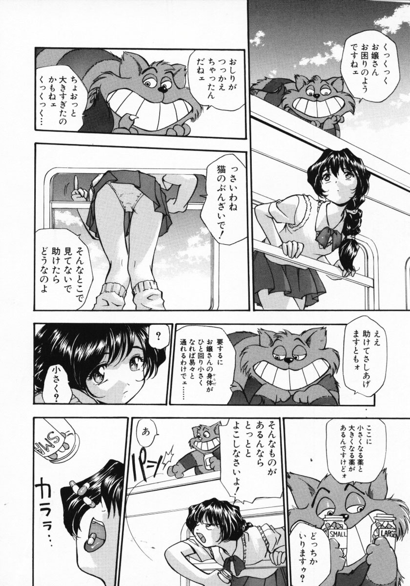 [きらら萌] 11pieces