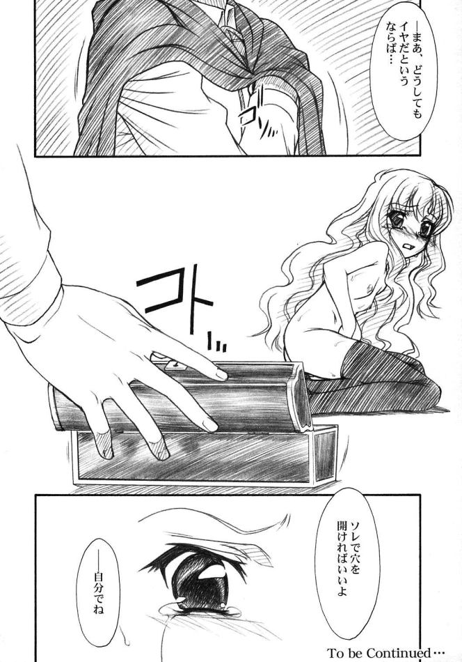 (C71) [MEKONGDELTA & DELTAFORCE (Route39, ぜんき)] VOID (ゼロの使い魔)