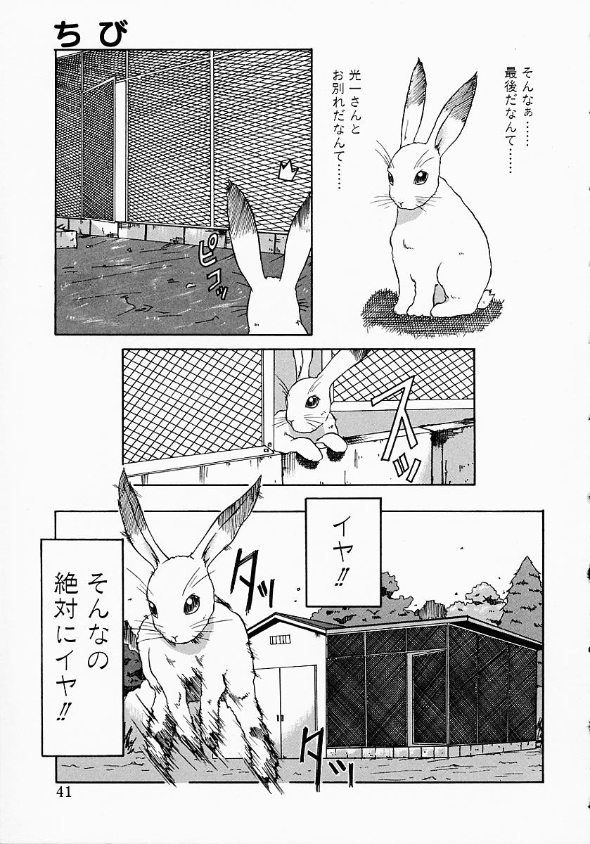 [小白京介] Protest