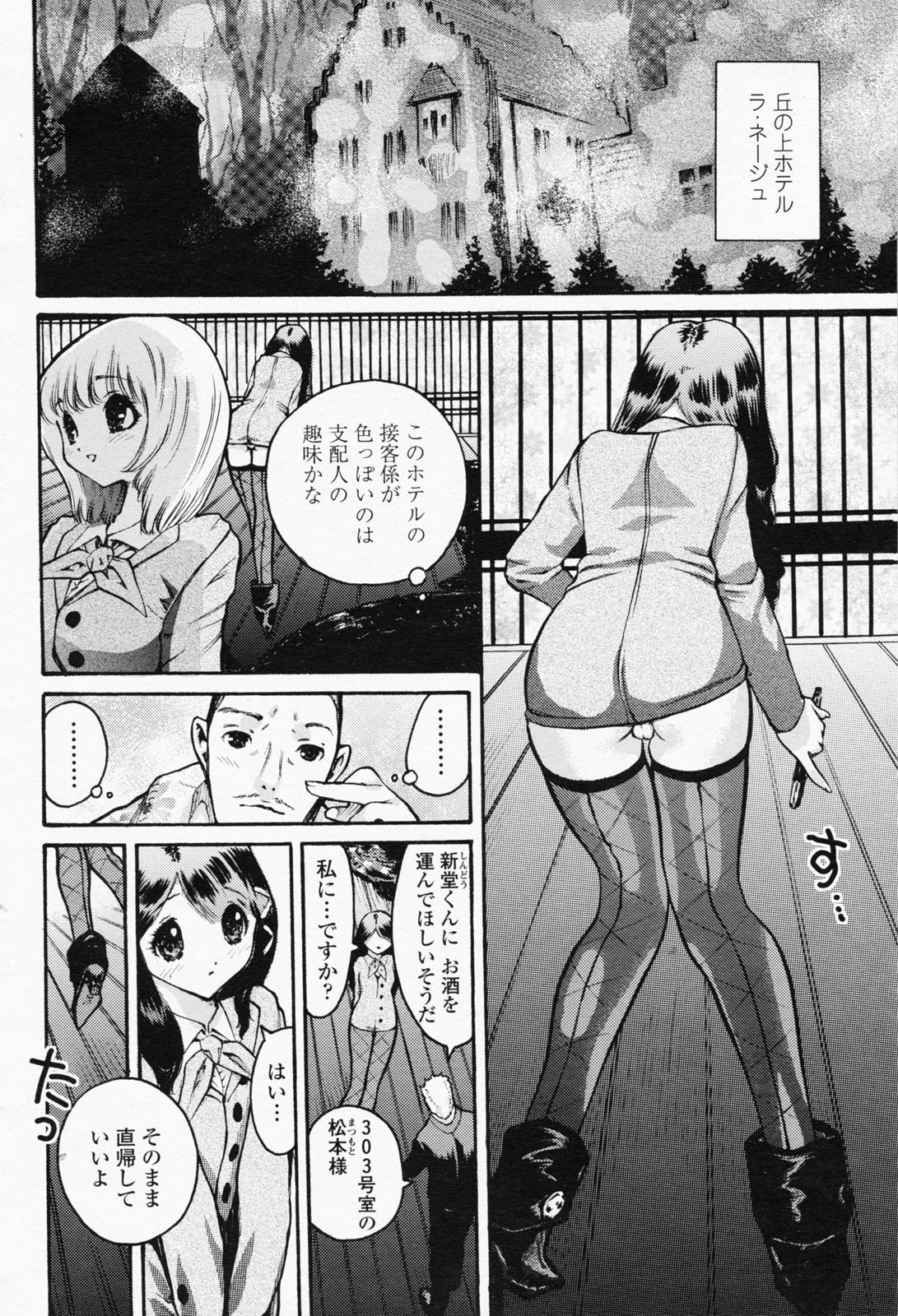 COMIC 桃姫 2008年05月号