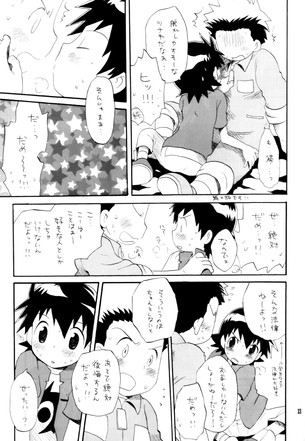 [くるぐるDNA (星逢ひろ)] いなづまロックドーム (デジモンフロンティア)