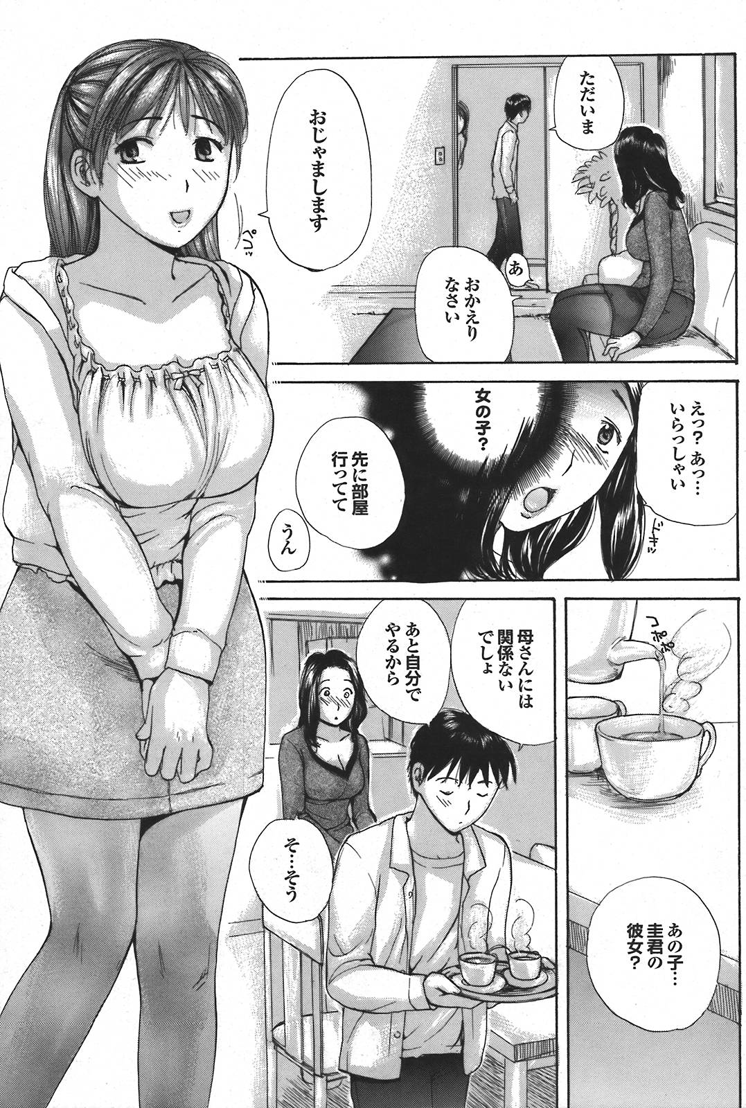 COMIC プルメロ 2008年5月号 vol.17