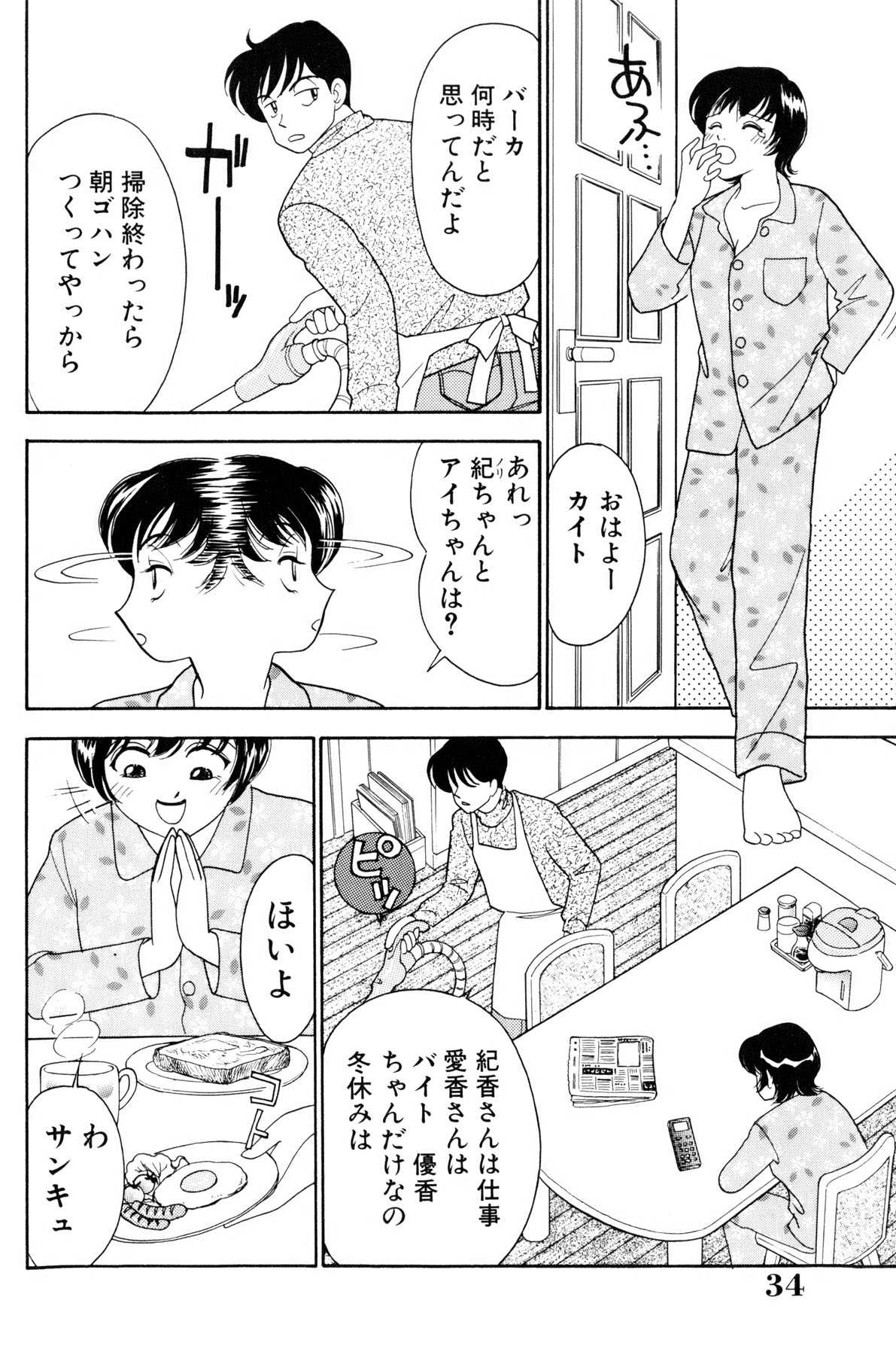 [有村しのぶ] フラッパー・アーミー