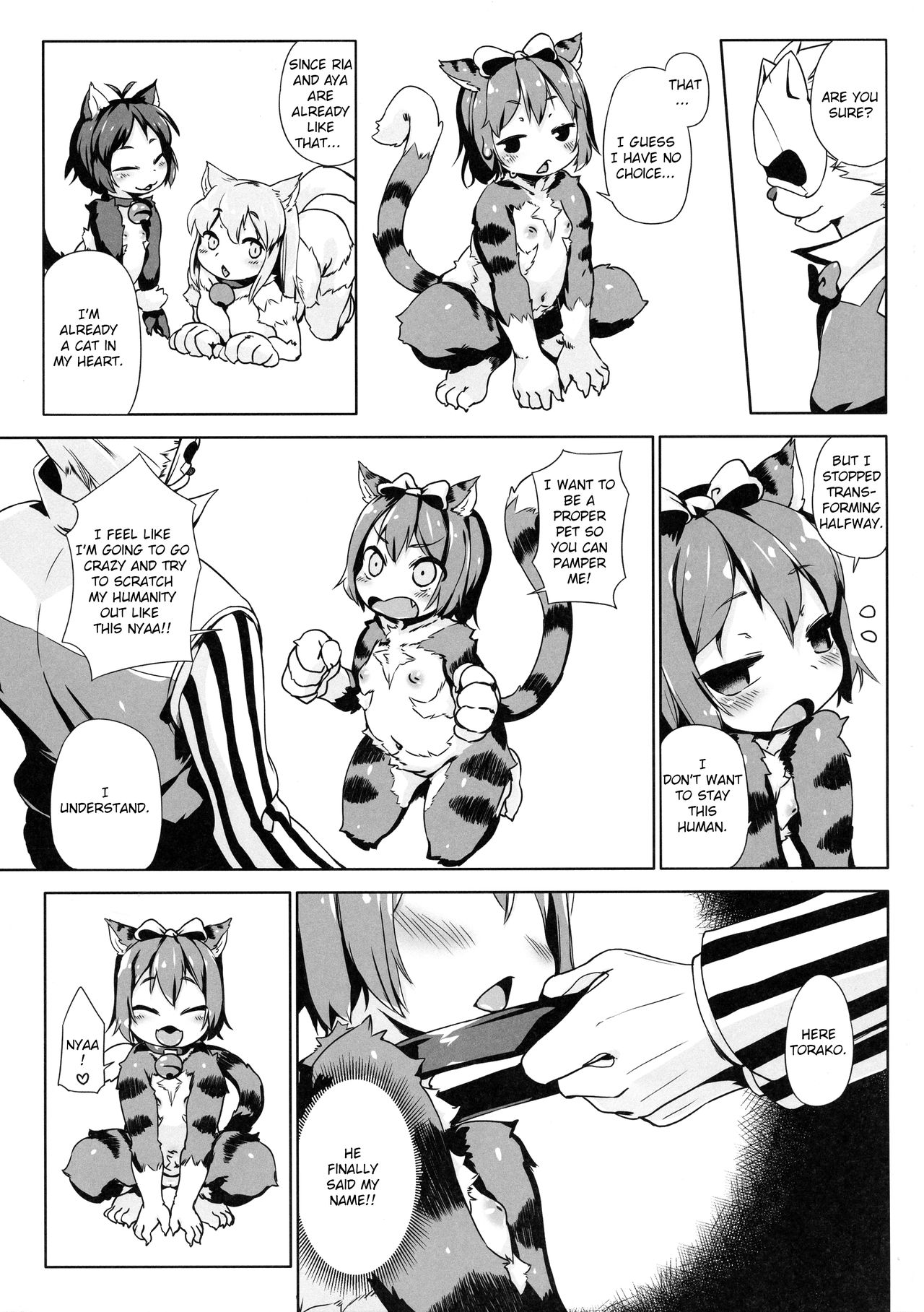(C92) [ななめ班 (半しゃる)] ねこ堕ちシャインフェアリーズ [英訳]
