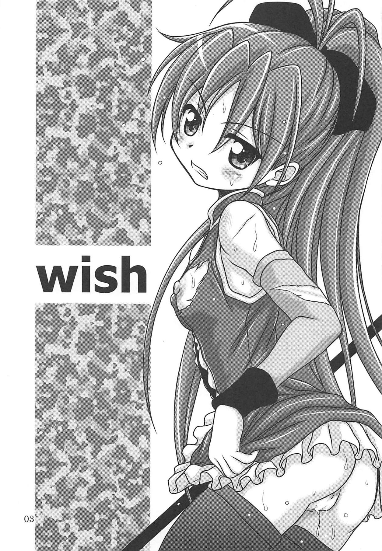 (C80) [HEARTS & CRUSTS (七名菜奈)] wish (魔法少女まどか☆マギカ)