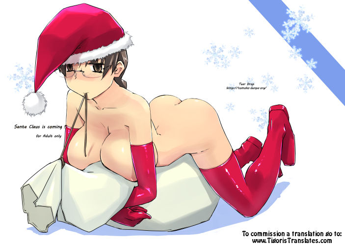 (C93) [Tear Drop (tsuina)] Santa Claus is coming! (トゥハート) [英訳]