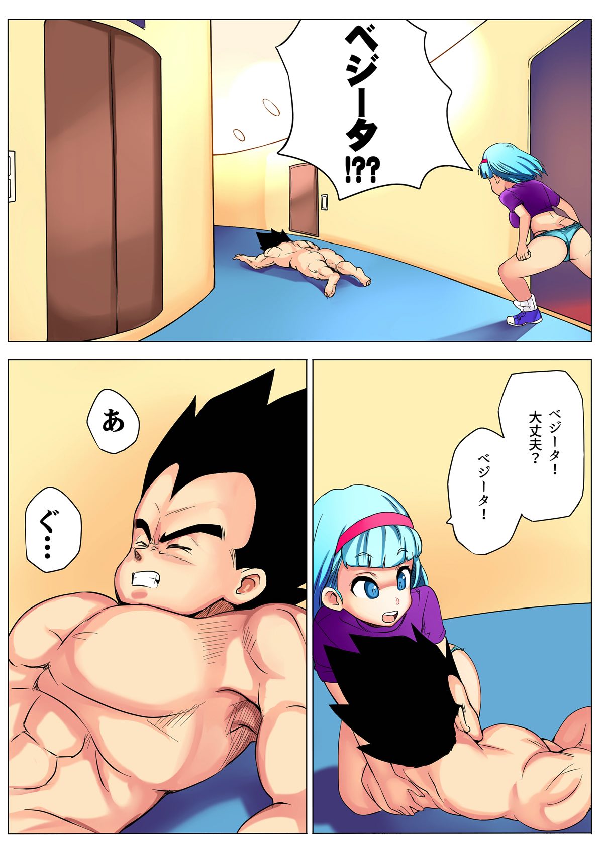 [ぷらんぷまん] ブルマが寂しそうなベジータをみてついなんとなくな本 (ドラゴンボールZ)