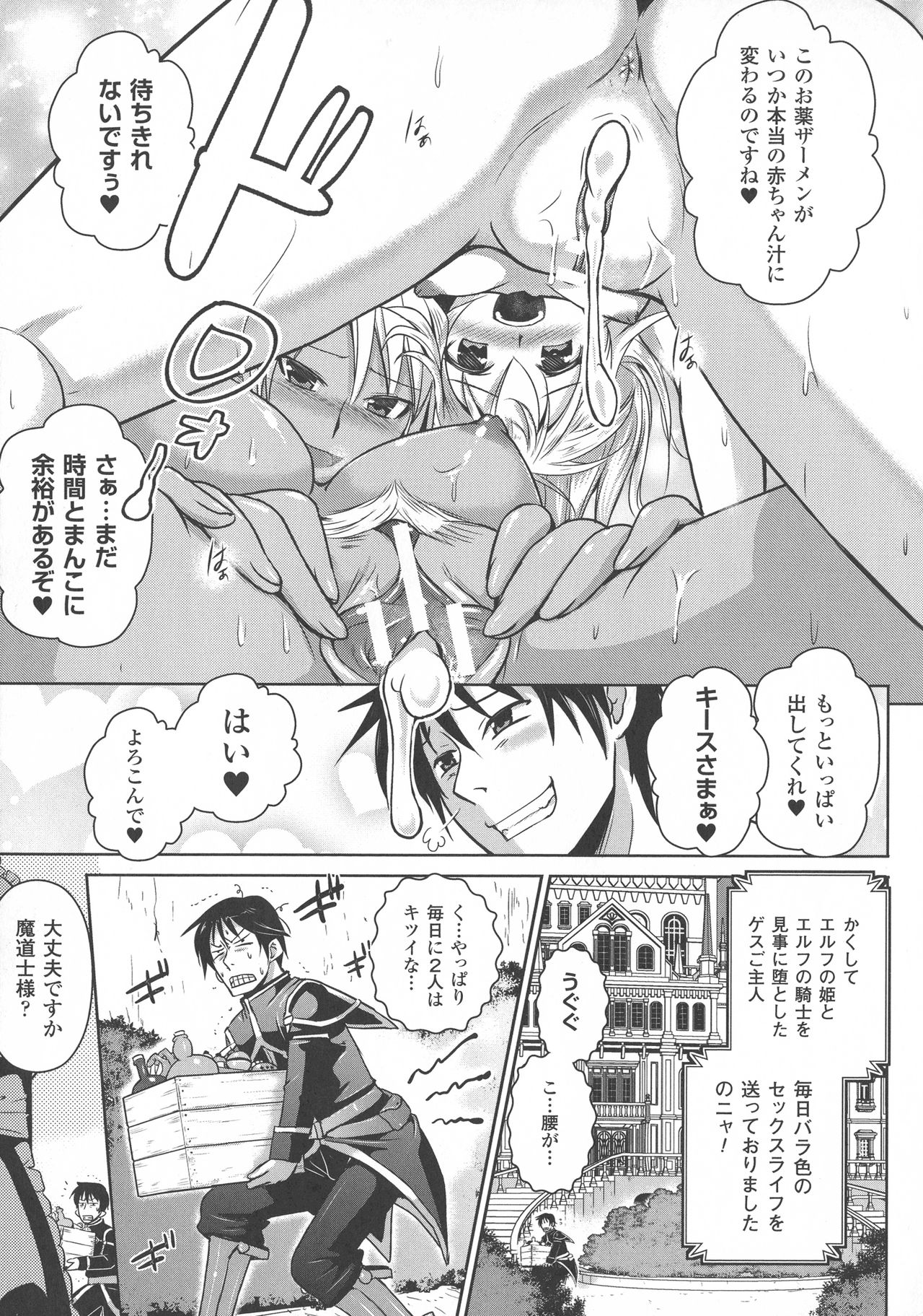 [磯貝武連, 時丸佳久] エルフの国の宮廷魔導師になれたので姫様に性的な悪戯をしてみた THE COMIC