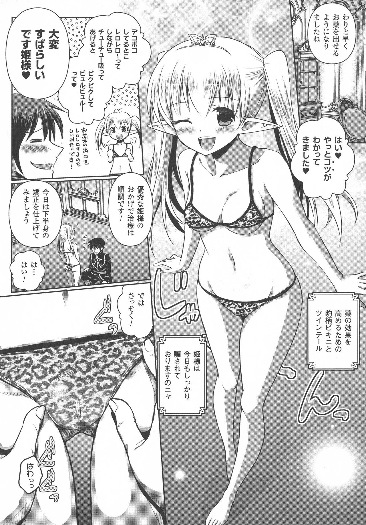 [磯貝武連, 時丸佳久] エルフの国の宮廷魔導師になれたので姫様に性的な悪戯をしてみた THE COMIC