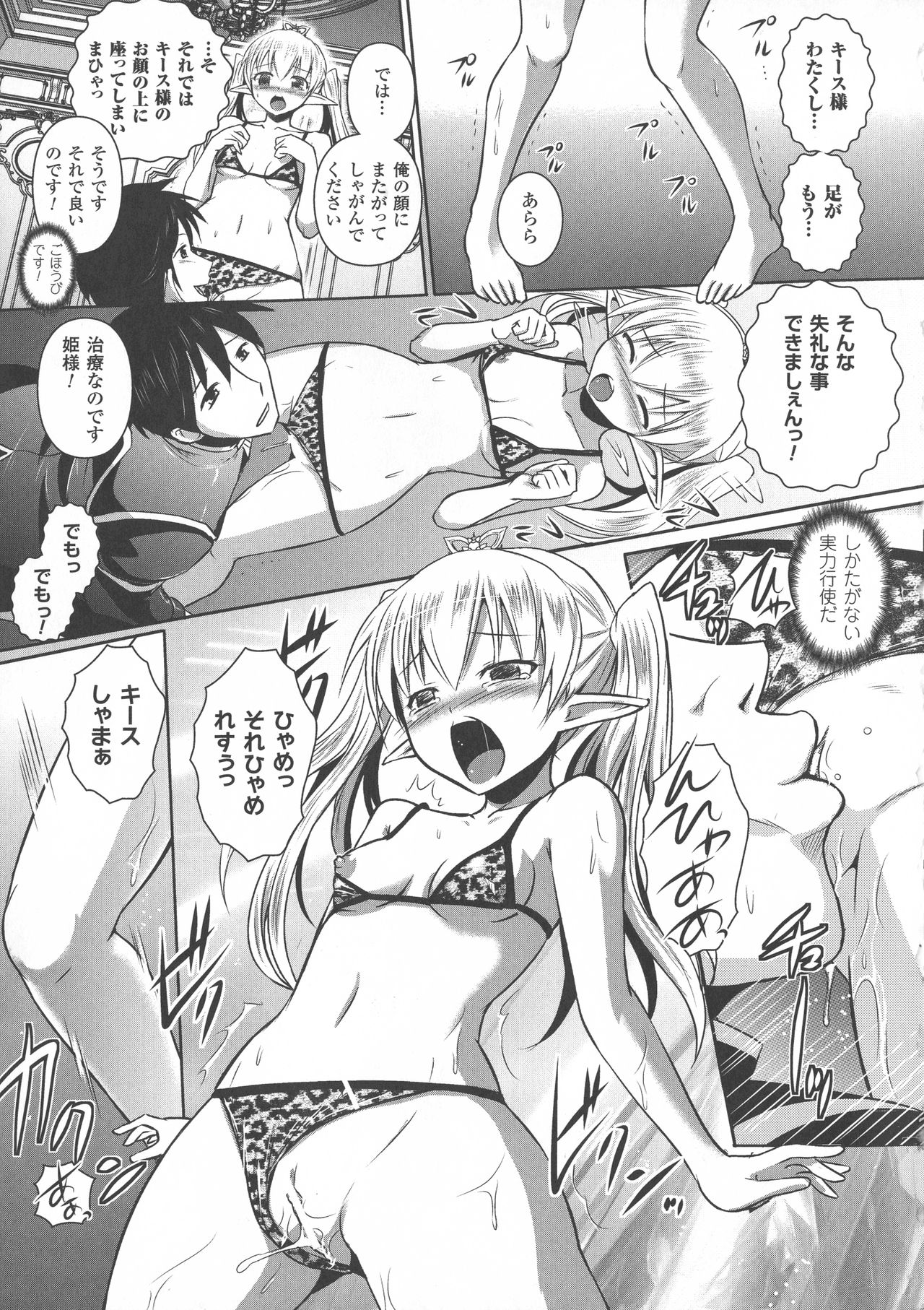 [磯貝武連, 時丸佳久] エルフの国の宮廷魔導師になれたので姫様に性的な悪戯をしてみた THE COMIC