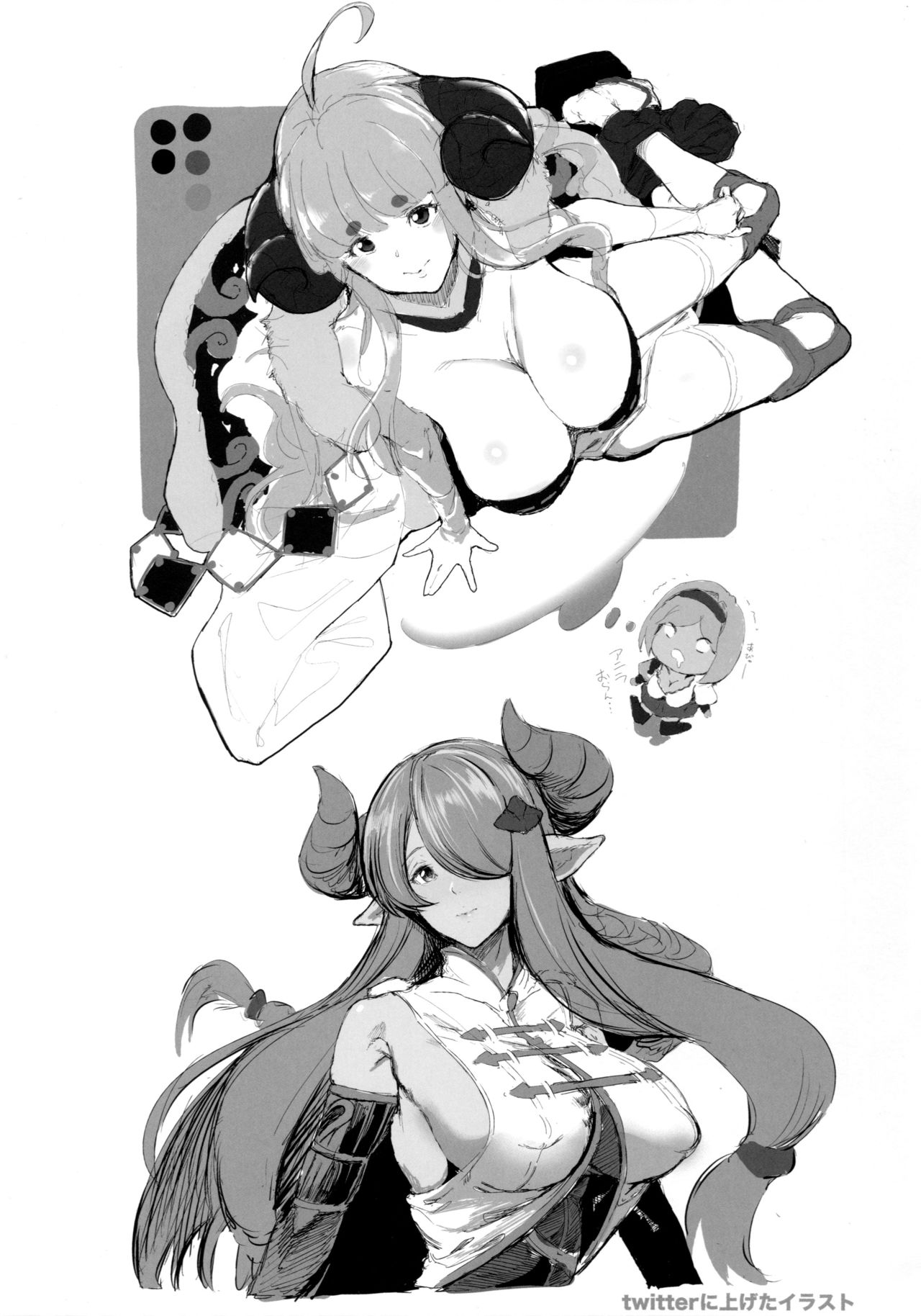 (C91) [viento campanilla (すずはねすず)] 雌エルーン討滅戦(仮) フェリ&コルワ (グランブルーファンタジー)