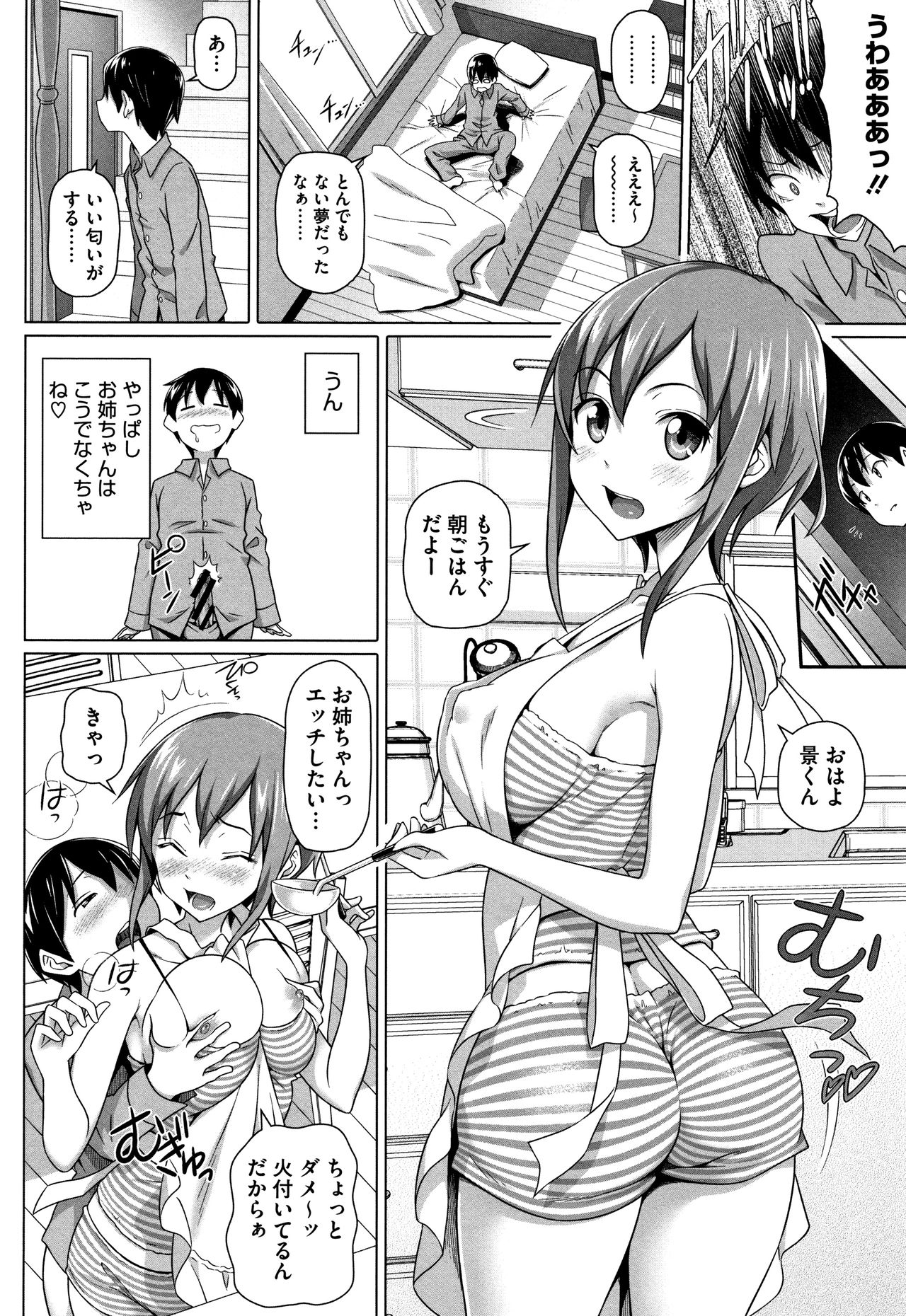 [白野じん] 僕の素敵なお姉ちゃん + 4Pリーフレット