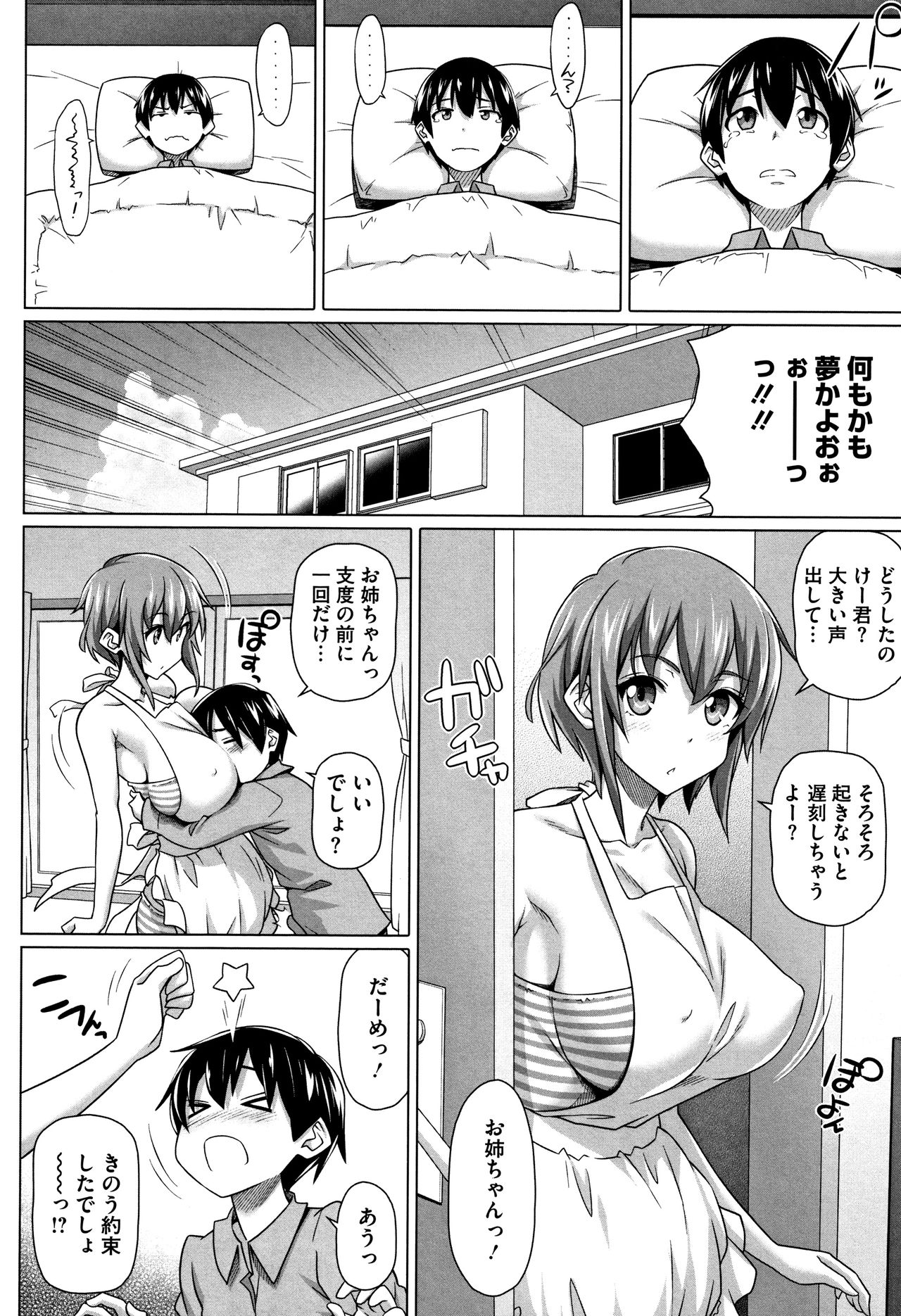 [白野じん] 僕の素敵なお姉ちゃん + 4Pリーフレット