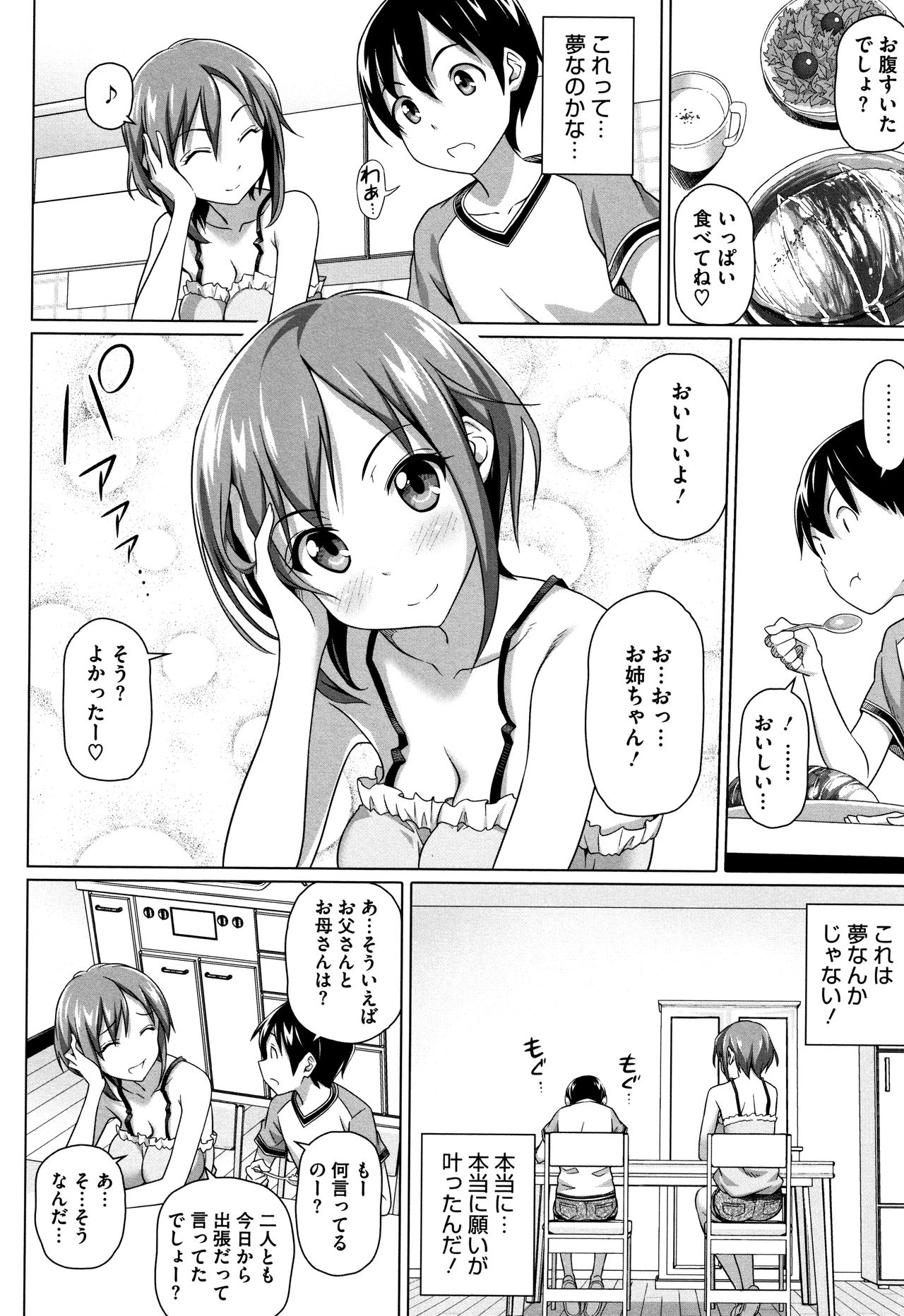 [白野じん] 僕の素敵なお姉ちゃん + 4Pリーフレット