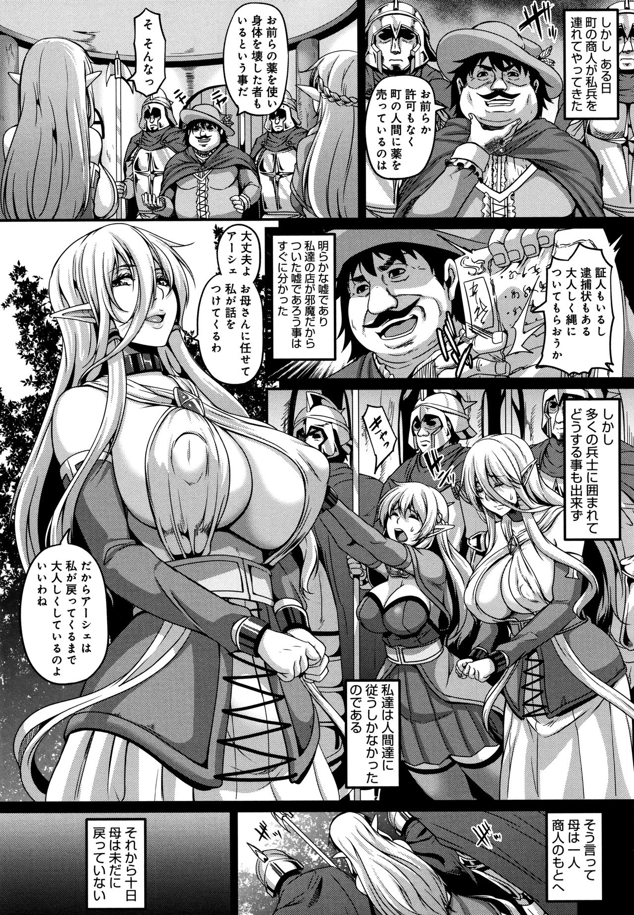 [一弘] 愛嬢の淫辱エルフ