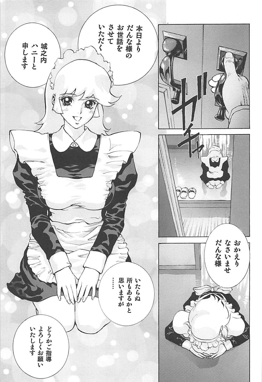 (C76) [ヒューマン・ハイライト・フィルム (塩鯖ッ)] ないしょのハニー2 (キューティーハニー)