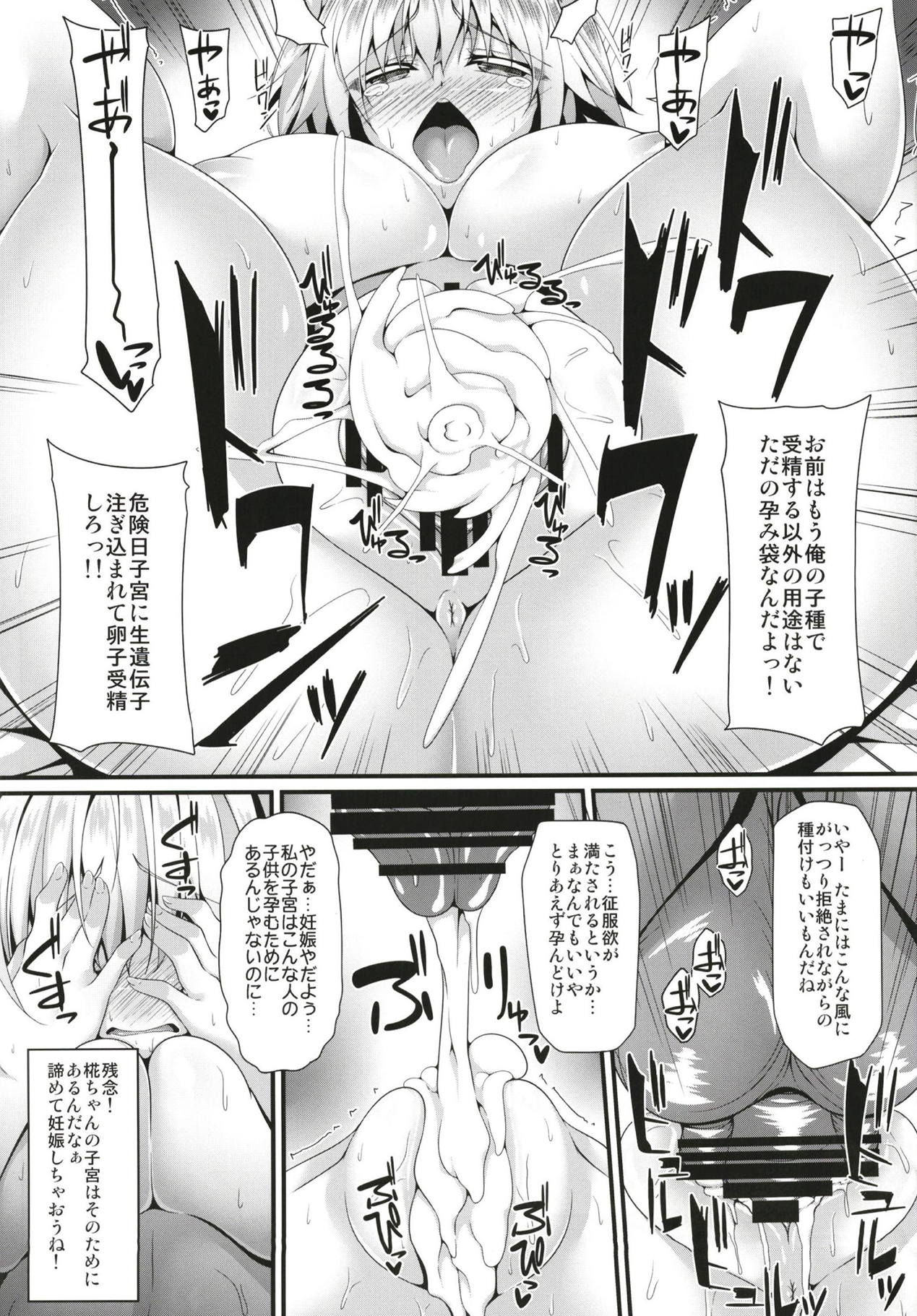 (例大祭15) [Right away (坂井みなと)] 催犬注意 (東方Project)