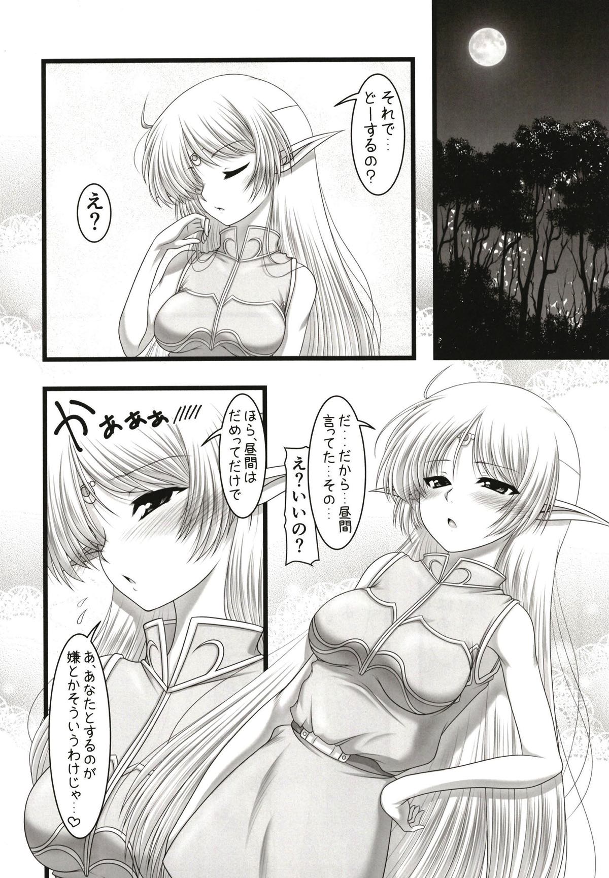 (C93) [愛は暗闇 (まるいりゅう)] Forest night (ロードス島戦記)