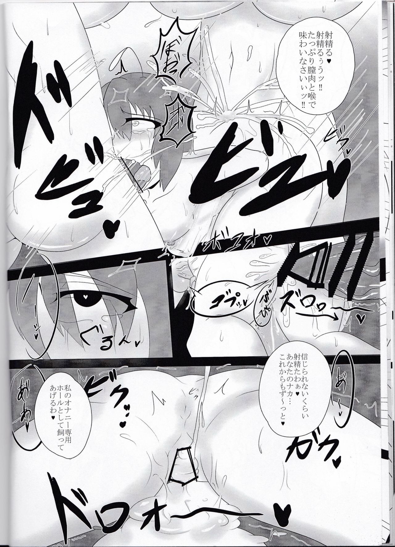(秋季例大祭3) [Black_Sugar(仮) (黒いメガネ)] 東方双珍録～風見幽香～ (東方Project)