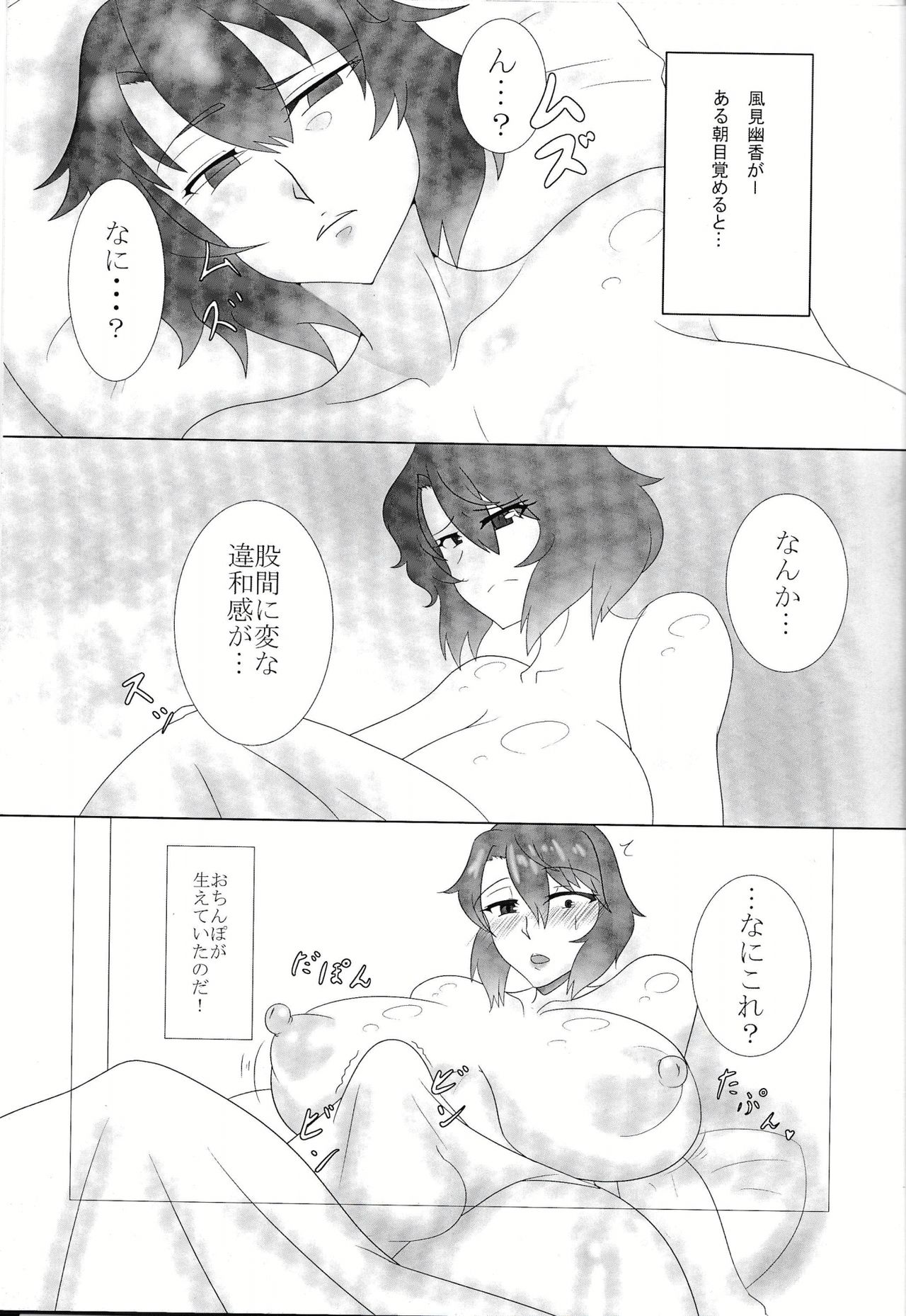 (秋季例大祭3) [Black_Sugar(仮) (黒いメガネ)] 東方双珍録～風見幽香～ (東方Project)