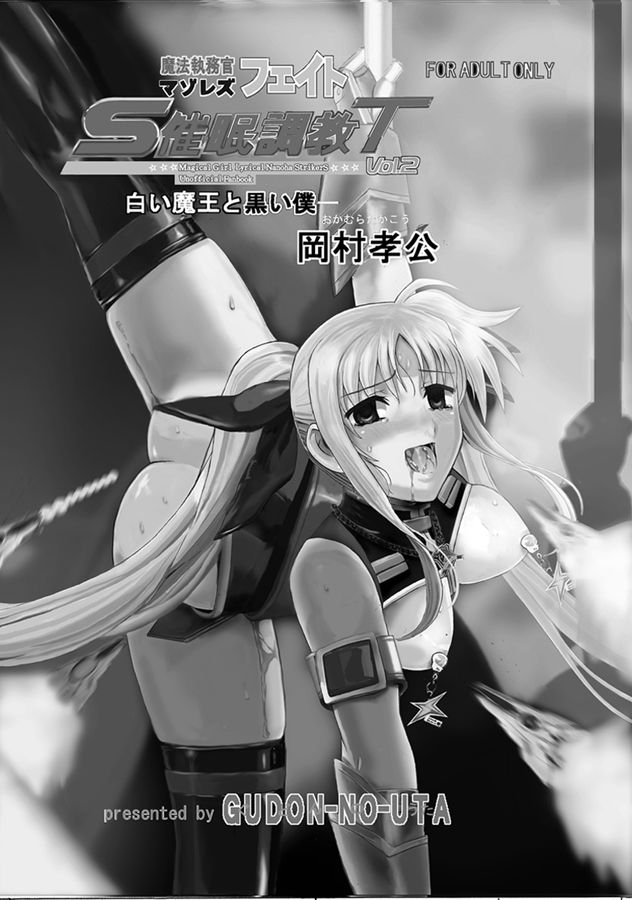 [ぐどんの歌 (岡村孝公)] 魔法執務官マゾレズフェイト催眠調教 VOL 2 (魔法少女リリカルなのは)