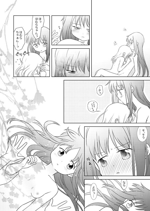 [ぺこん (きの)] はれたらあの丘へふたりで (魔法少女まどかマギカ) [DL版]