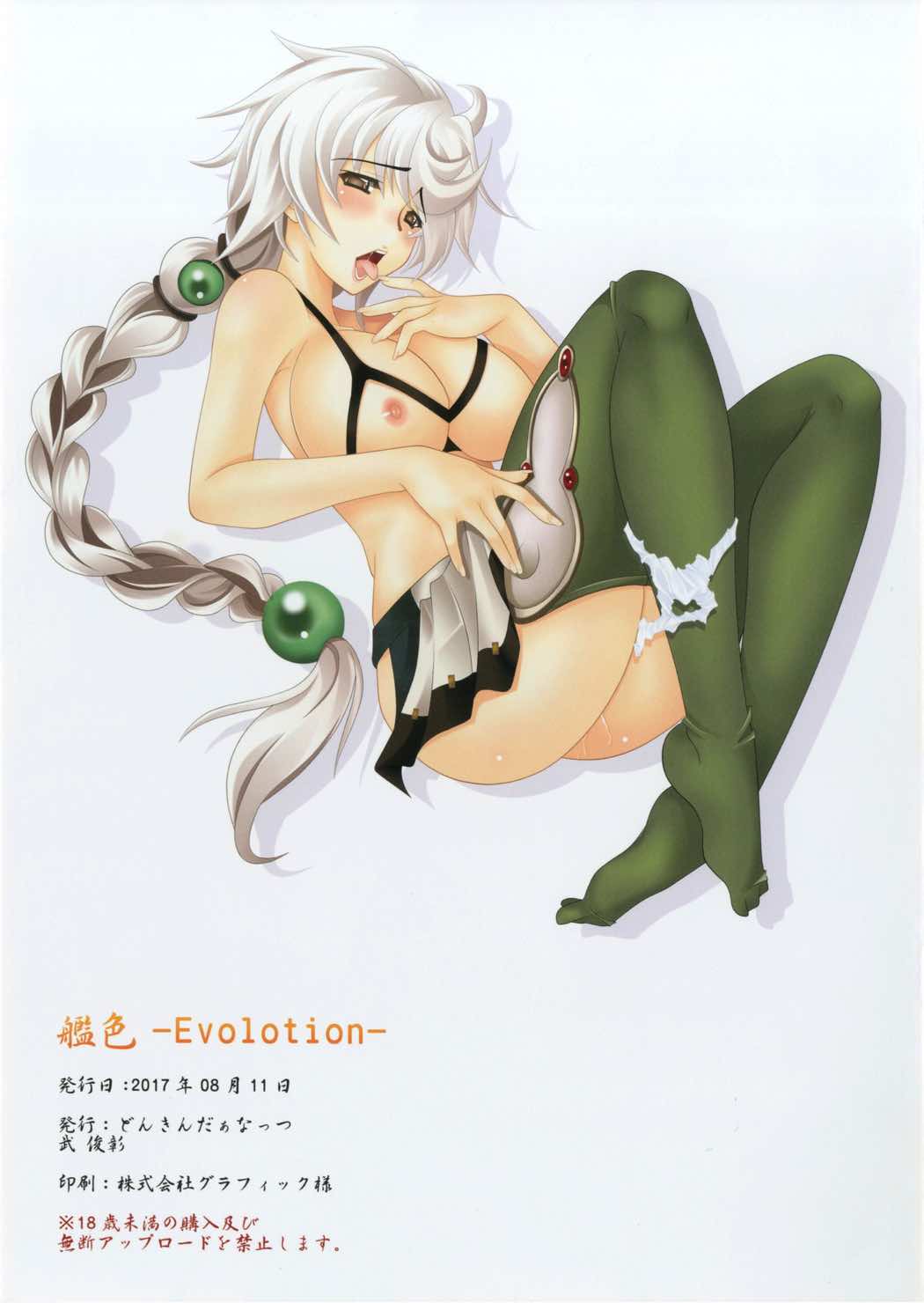 (C92) [どんきんだぁなっつ (武俊彰)] 艦色-Evolotion- (艦隊これくしょん -艦これ-)