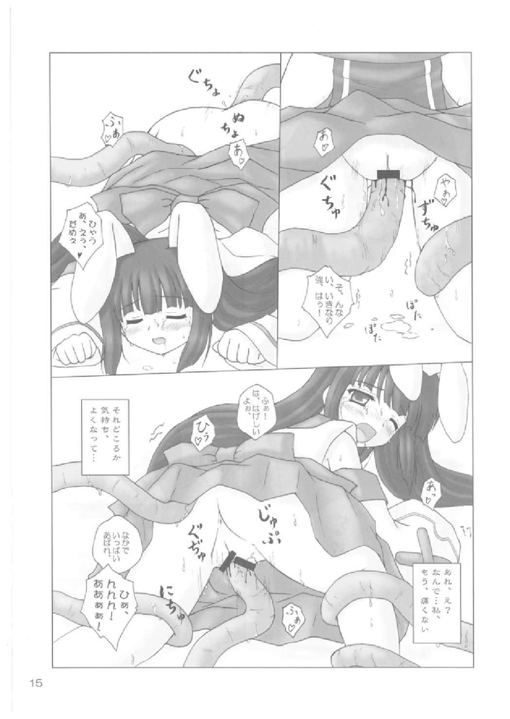 (サンクリ33) [にゅうたいぷ研究所 (理)] Elementaler Confusion Obscenity (エミル・クロニクル・オンライン)